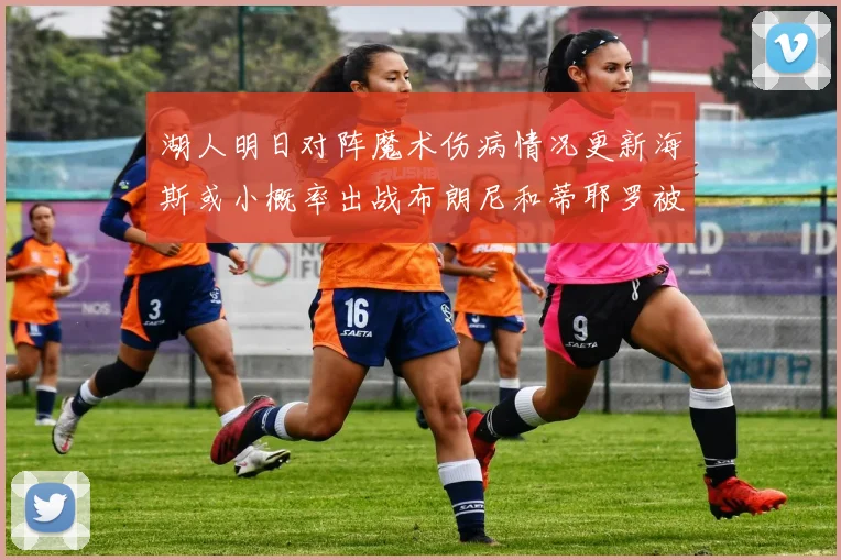 湖人明日对阵魔术伤病情况更新海斯或小概率出战布朗尼和蒂耶罗被下放