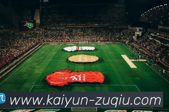 开云足球APP 高清赛事图